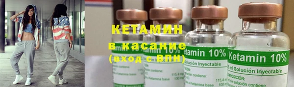 шишки Осинники