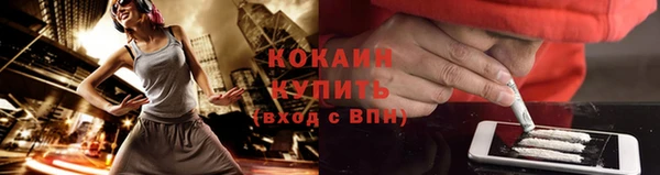 шишки Осинники