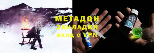 шишки Осинники