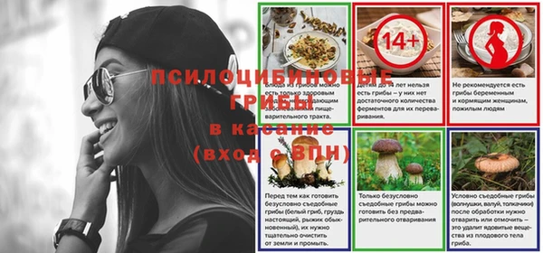 каннабис Богородицк