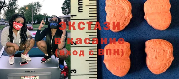 шишки Осинники