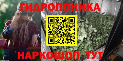 эйфоретик Бийск