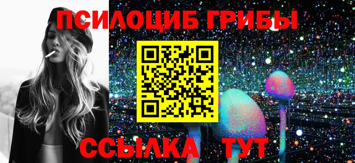 закладки  Псилоцибиновые грибы Psilocybe  Вход с VPN  Татарск 